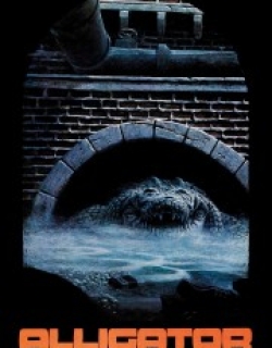 Alligator