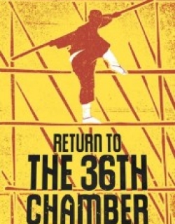 Return to the 36th Chamber