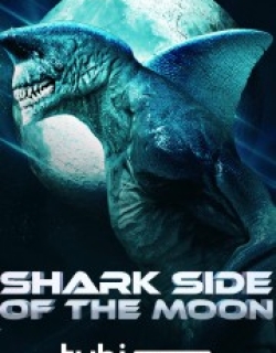 Shark Side of the Moon
