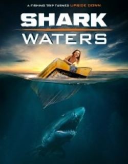Shark Waters