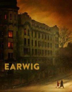 Earwig