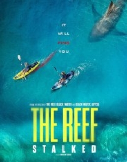 The Reef: Stalked