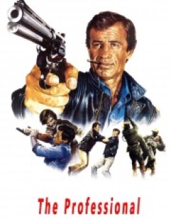 The Professional