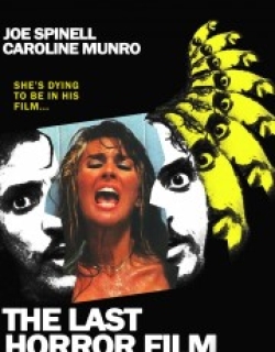 The Last Horror Film