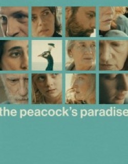 Peacock’s Paradise