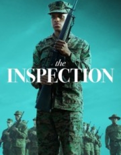 The Inspection