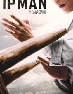 Ip Man: The Awakening