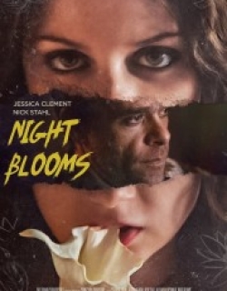 Night Blooms