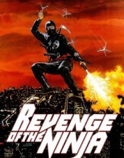 Revenge of the Ninja