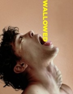 Swallowed
