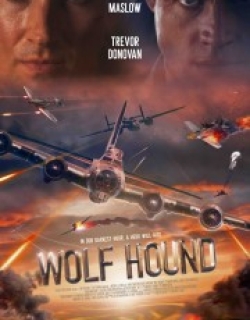 Wolf Hound