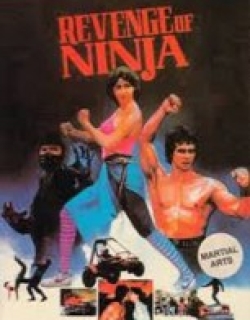 Revenge of the Ninja