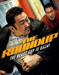 The Roundup