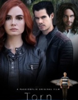 Torn: A Wicked Trilogy