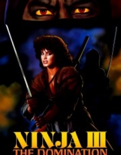 Ninja III: The Domination