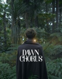 Dawn Chorus