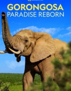 Gorongosa: Paradise Reborn