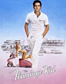 The Flamingo Kid