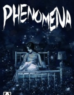 Phenomena