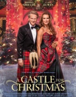 A Castle for Christmas