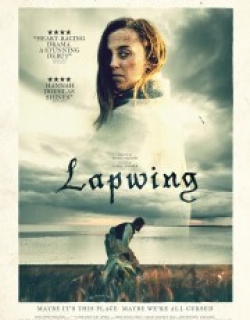 Lapwing