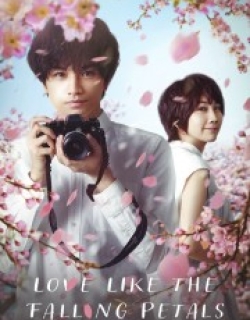 Love Like the Falling Petals