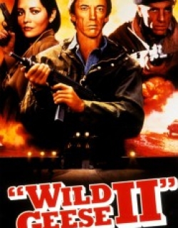 Wild Geese II