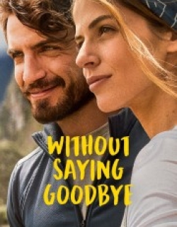 Without Saying Goodbye