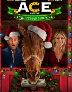 Ace & the Christmas Miracle
