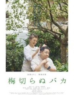 The Lone Ume Tree