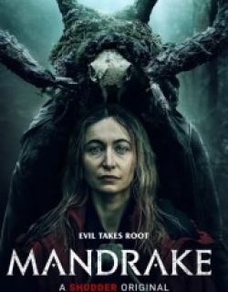 Mandrake