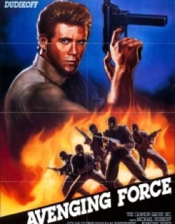 Avenging Force