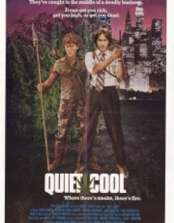 Quiet Cool