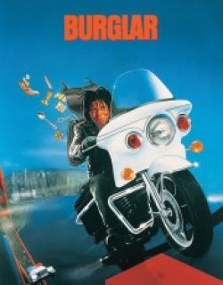 Burglar