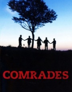 Comrades