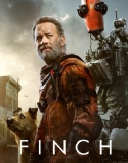 Finch