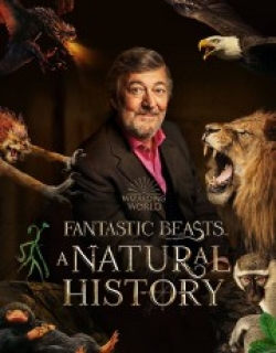 Fantastic Beasts: A Natural History