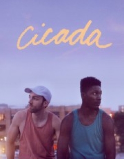 Cicada