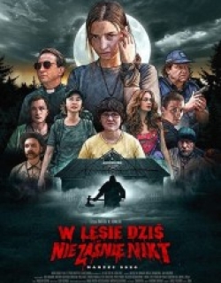 Nobody Sleeps in the Woods Tonight 2