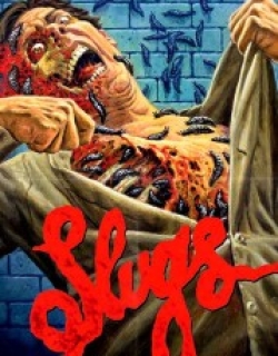 Slugs