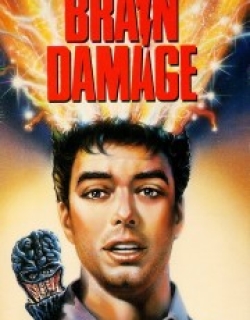 Brain Damage