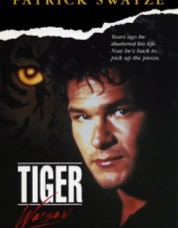 Tiger Warsaw