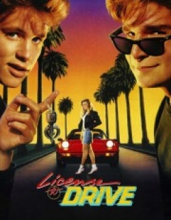 License to Drive