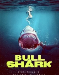 Bull Shark