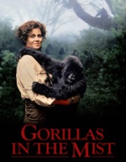 Gorillas in the Mist