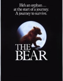 The Bear