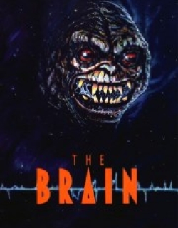 The Brain