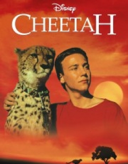 Cheetah
