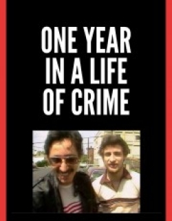 One Year in a Life of Crime