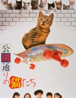 Cats in Park Avenue